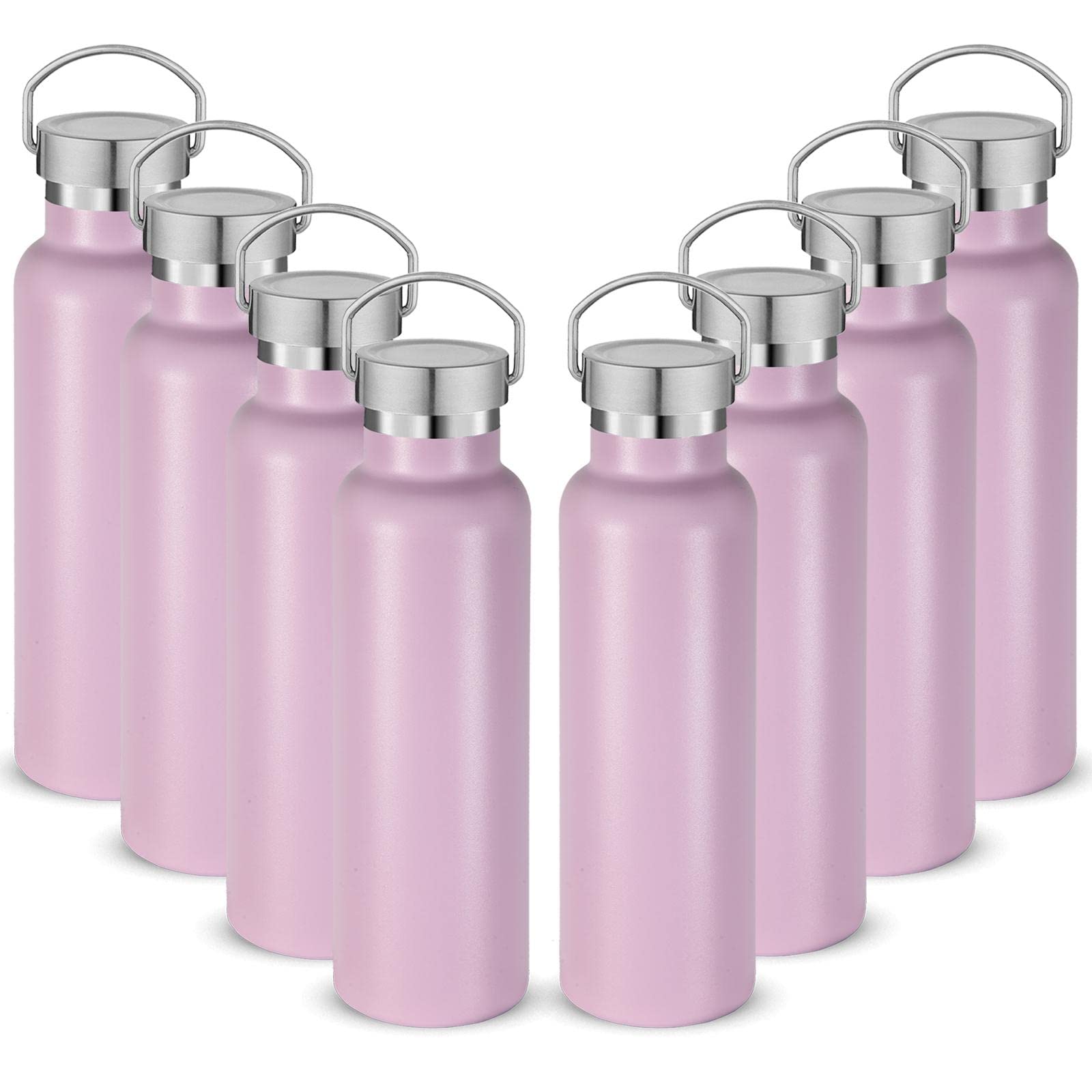 Neihepal 20 oz Insulated Water Bottles,Stainless Steel Double Wall Sport Bottle with Lid of Handle (8, Fog)