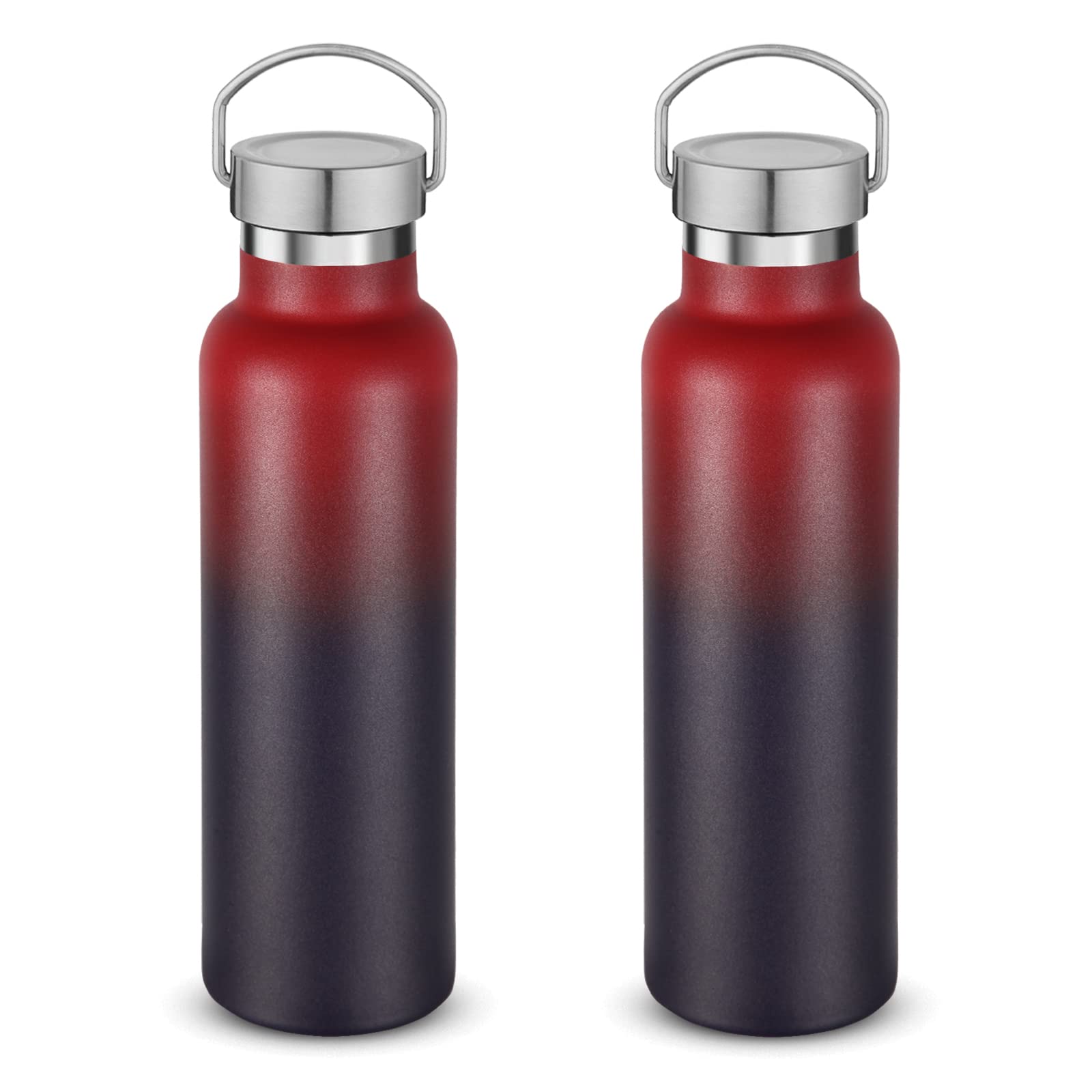 Neihepal 20 oz Insulated Water Bottles,Stainless Steel Double Wall Sport Bottle with Lid of Handle (8, Fog)