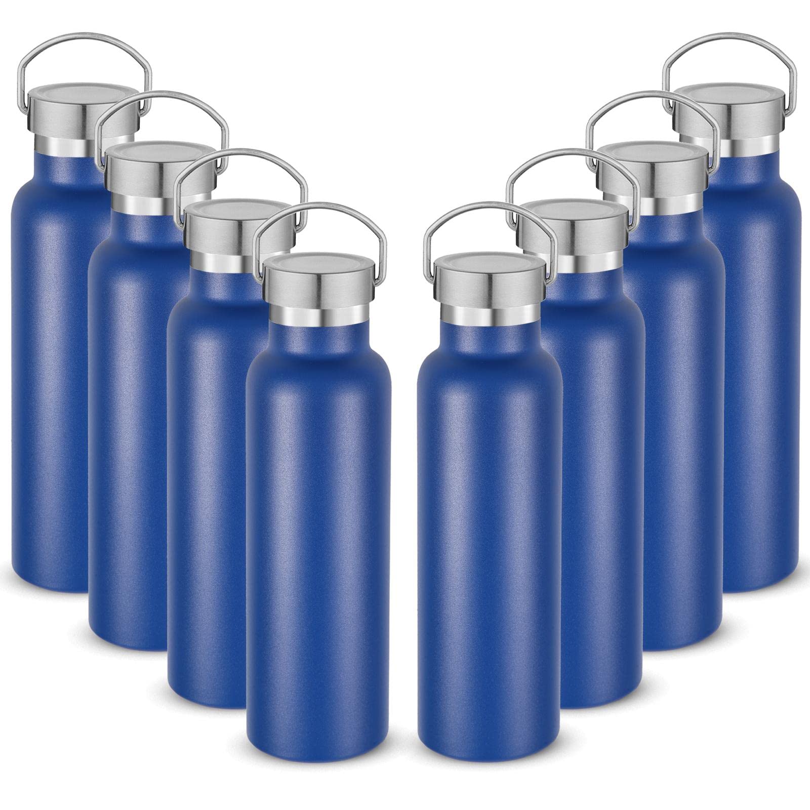 Neihepal 20 oz Insulated Water Bottles,Stainless Steel Double Wall Sport Bottle with Lid of Handle (8, Fog)